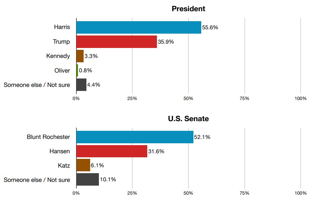 Source: UD CPC survey of likely Delaware voters, fielded September 11-19, 2024. The margin of error for the full sample is +/-5.76 points. Numbers may not sum to 100% due to rounding. 